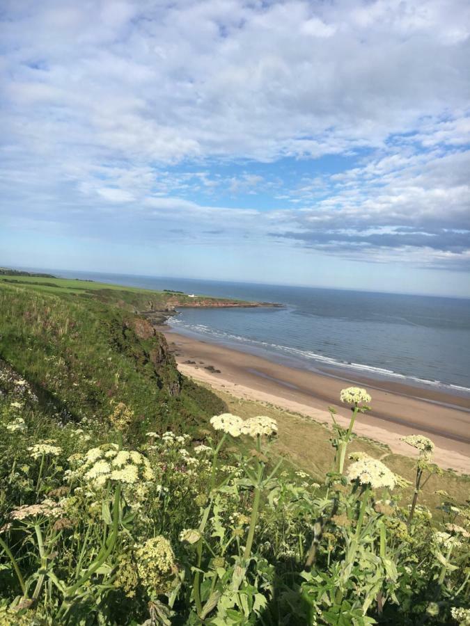 Dunnottar Woods Cottage Stonehaven Extérieur photo
